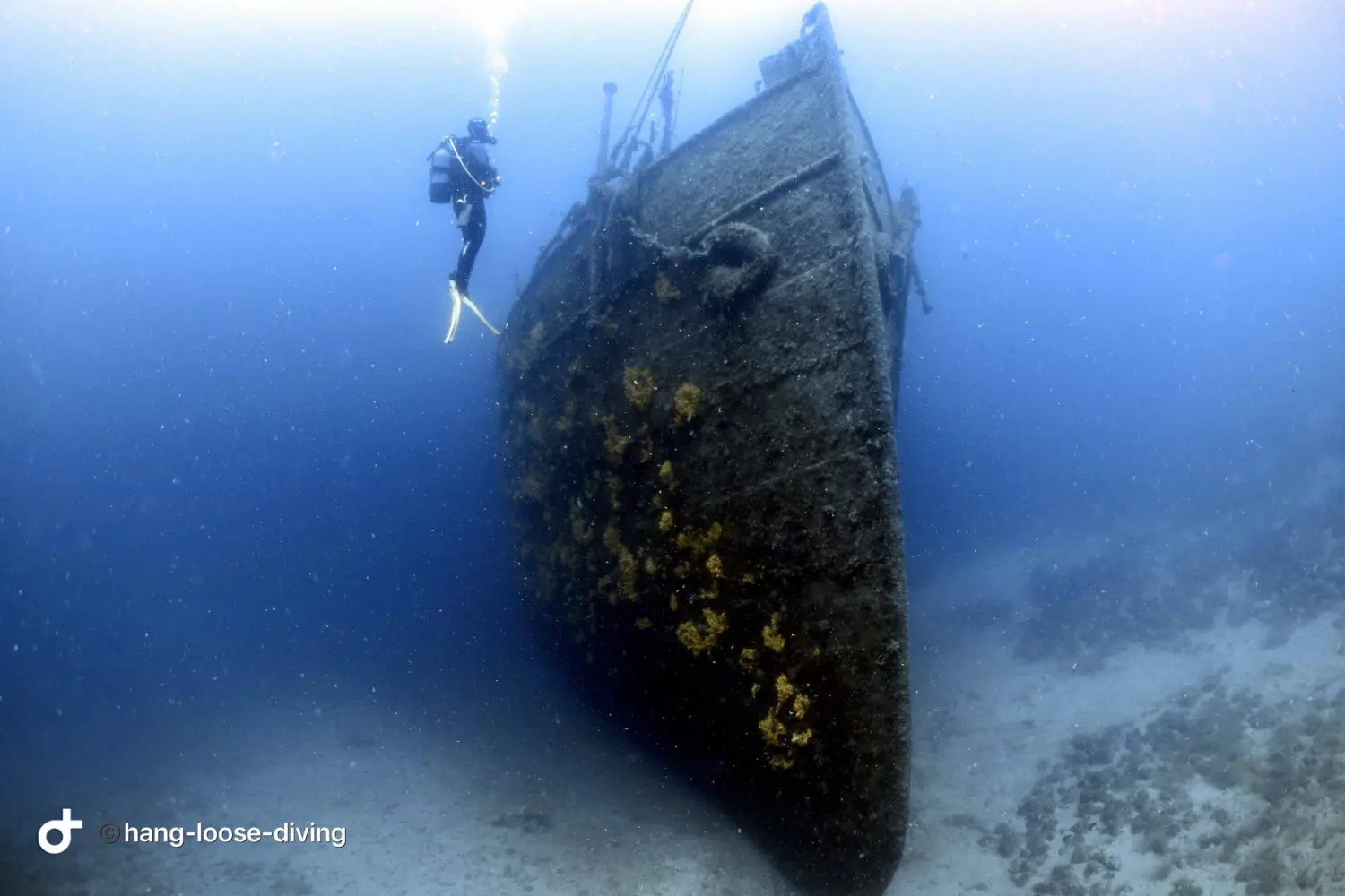 Ein Taucher erkundet das Schiffswrack der „Peltastis“, einem beliebten Tauchplatz in der Nähe des Dorfes Silo auf der Insel Krk, Kroatien. Von Hang-Loose-Diving d.o.o.